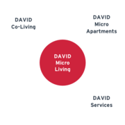 Infografik zur Struktur von David