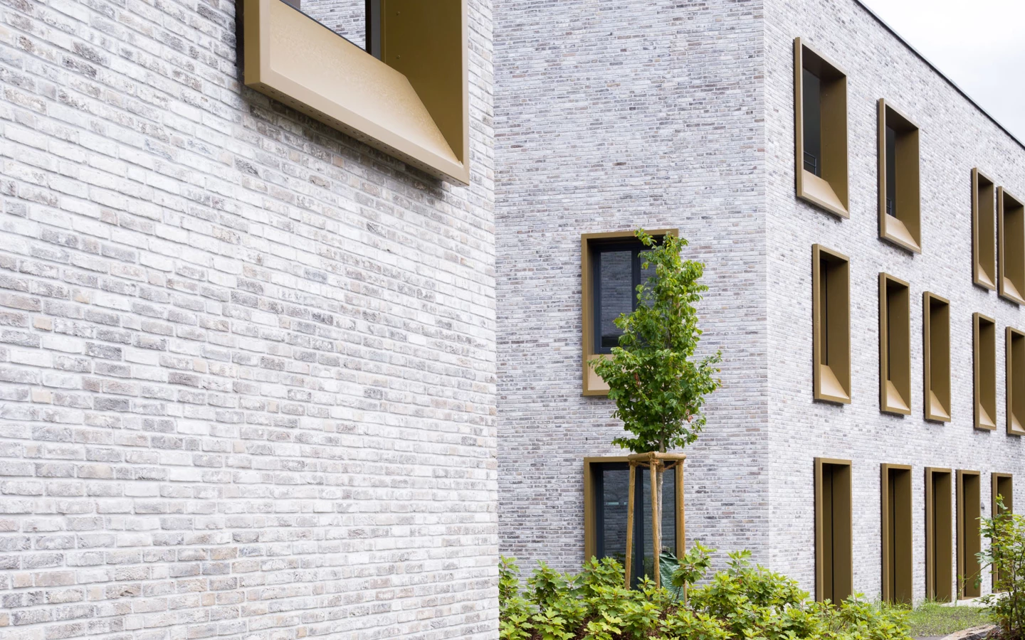 WA Kreuzgasse Dornbirn 2