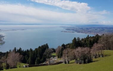 Bild4