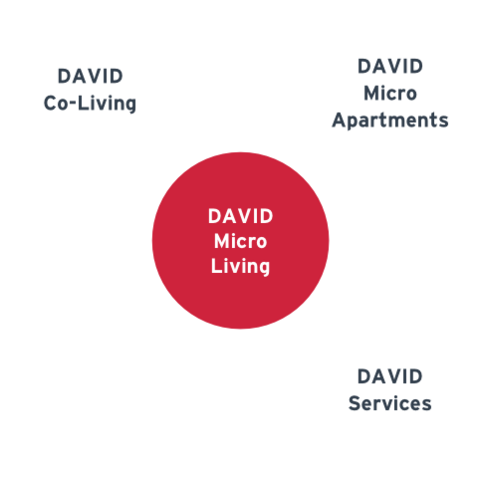 Infografik zur Struktur von David