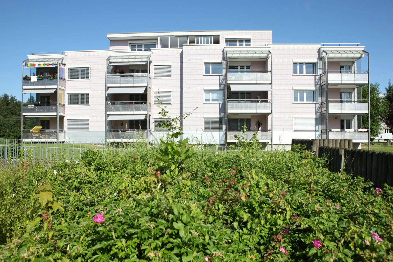 Wohnanlage-Suhr-Flachbauten